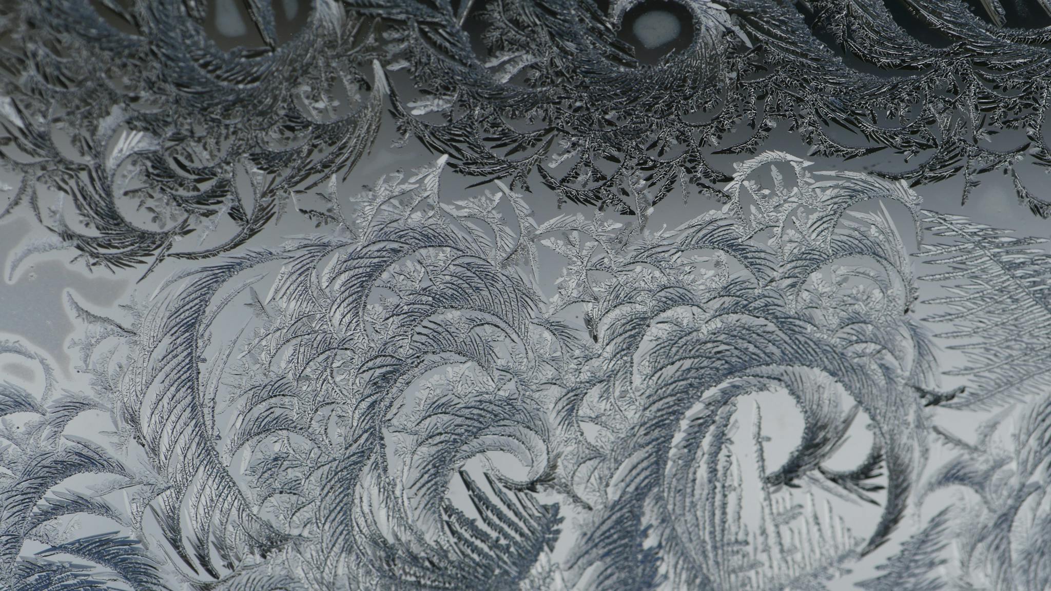 Close Up View of Black and Gray Abstract Illustration